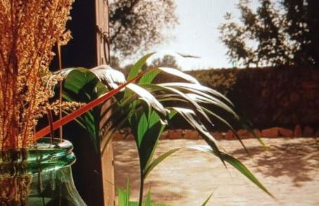 Ses cases noves Llucmajor - Foto 41