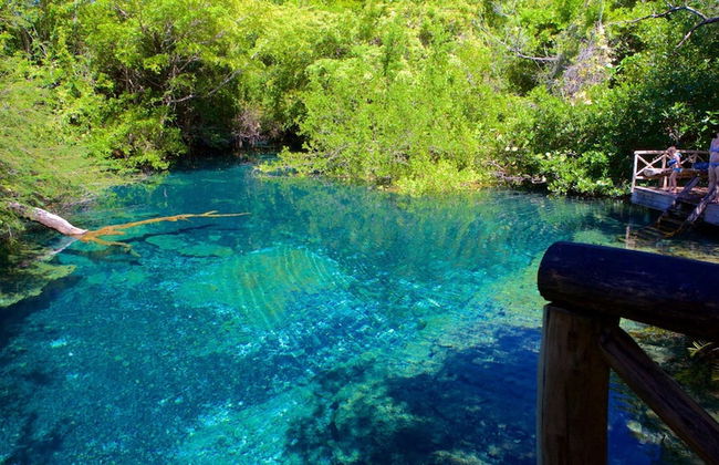 Luxury 6bdr Villa at Tortuga Bay Near Beach Golf - Photo 45