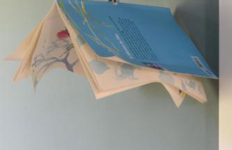 Dream Guincho - Foto 71