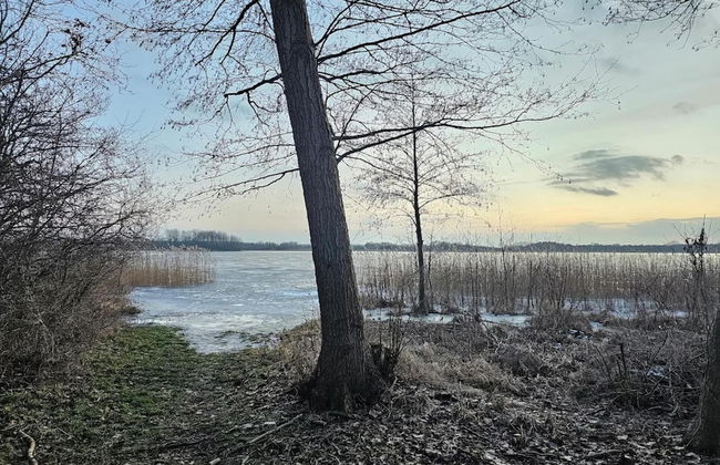 Fabulous Holiday Home in Thorstorf near Sea - Foto 33