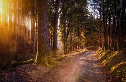 Ferienwohnung Am Waldweg - Foto 14