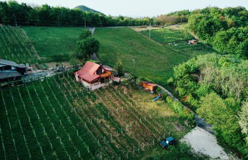 Apartment Pri Braceku - Odmor u prirodi - Nature Retreat & Relaxation - Photo 14