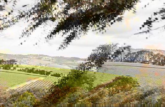 Karawatha Cottages B&B - Foto 47