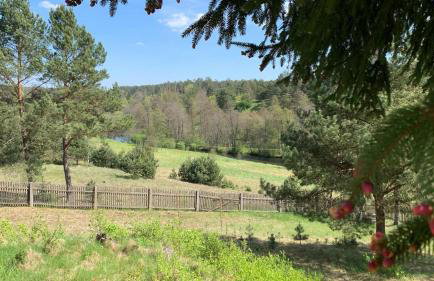 Dom Mossa - Photo 18