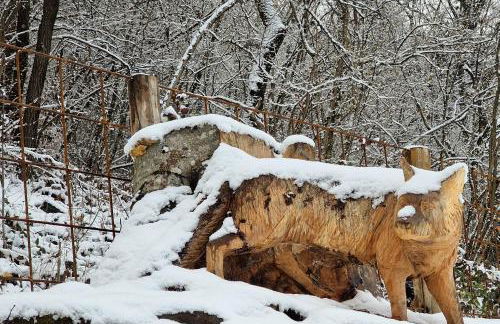 Narciso Home - Foto 41