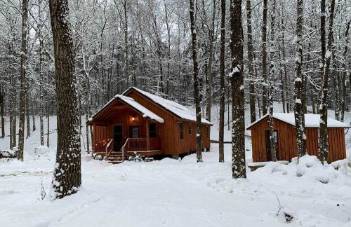 Cozy Three-Bedroom Cabin Near The Salmon River in Altmar, New York - Foto 15