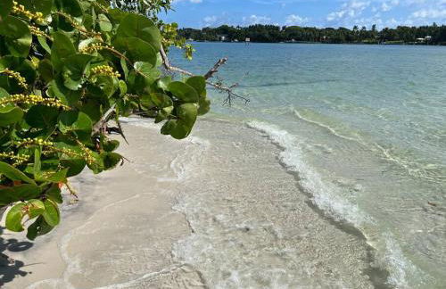 Golfers Paradise 4-hole PUTT-PUTT, Mega Chess with huge backyard, hammock - Photo 51