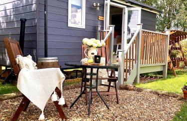 Whiskers and Woods Shepherd Hut - Foto 4