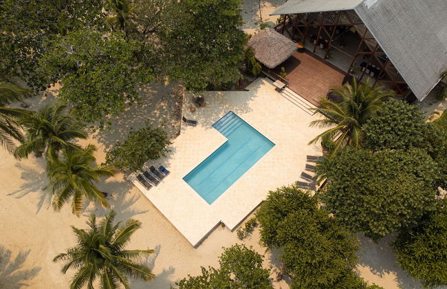 Tropical Breeze - Foto 1