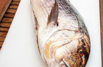 La Muette Cachée - Charming House by the Sea - Foto 20