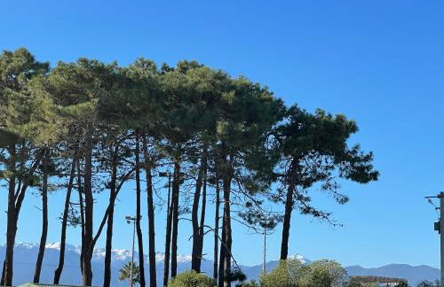 Appartement 2 pièces bord de mer - Foto 40