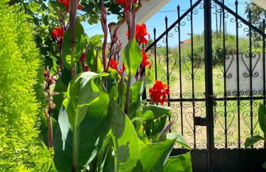 Pitsa's Rooms - Photo 20