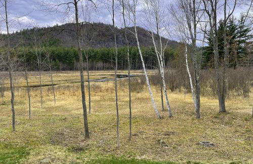 High Peaks Chalet - Foto 46