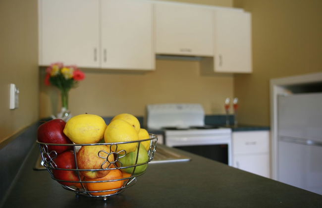 Abisko Lodge - Foto 21