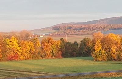 Ferienwohnung "Auszeit" - Foto 36