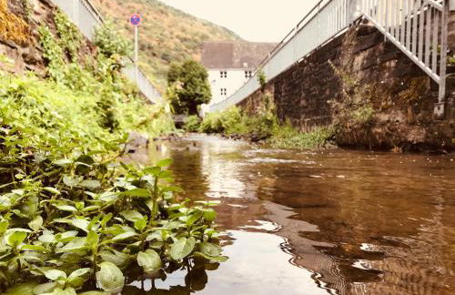 Ferienwohnung Am Bachlauf - Foto 30
