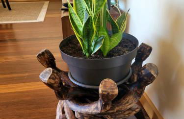 Casa da Praia - Foto 30