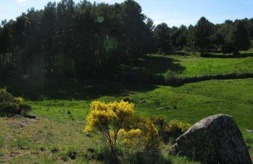 Holiday Home La Asomailla - Photo 41