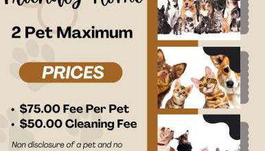 Tequila Sunrise - Foto 5