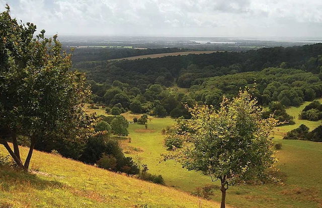 Chic 4-bed Coastal Retreat in Heart of Bosham - Photo 40