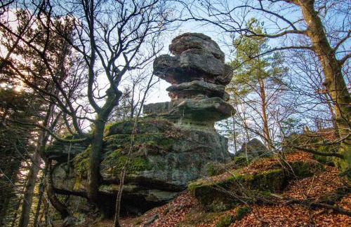 Chalet Beau Regard - Photo 40