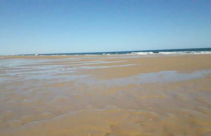 Apartamento Felicidade - Foto 36