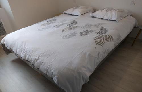 Maison Jean-Moulin, jardin, spacieuse, 24h Mans, zoo, Prytanée, 3 chbres, 6 pers - Photo 9