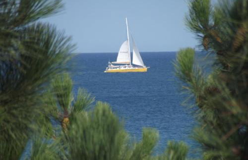 LE BELVEDERE 1- Front de Mer - Plage Argelès- Clim - Foto 13