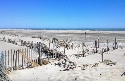 Camargue - La Saline Forézienne - Salin-de-Giraud - Foto 49