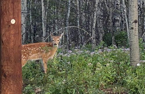 Glacier Summit-Spacious Modern Villa Near Glacier Park Part of Glacier Ridge Vacation Rental Collection - Foto 18