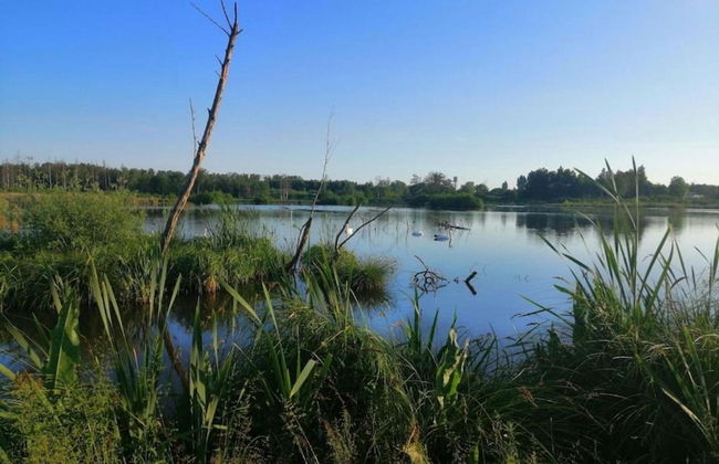 Cozy, Wooden Chalet With Deck, Near Durbuy - Foto 30
