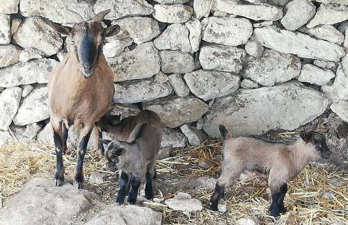 Le Grotte di Sileno - Foto 48