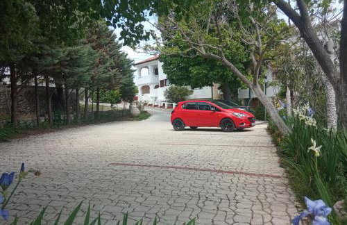 KATY&MLADEN 1 - Photo 17