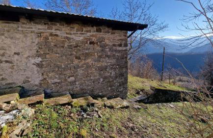 Casetta immersa nella natura - Foto 14