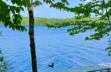 Escape to Tree House Island Life - Foto 22