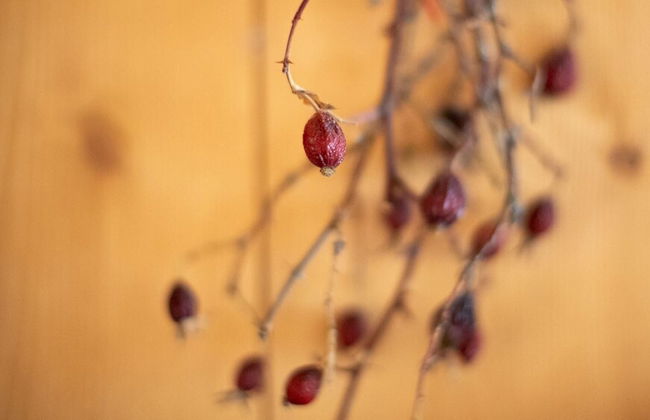 Italianway- Roma 23 - Foto 28