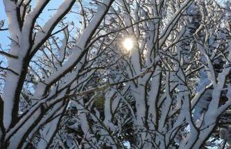 Villa Schonau Apartment 2 in Bad Munstereifel - Foto 69