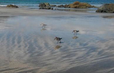 Apartamento Suite a pie de playa - Foto 24