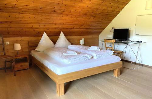 Schwarzwaldhaus Sonnenstraße, Oberried-Hofsgrund, Dreisamtal - Foto 19