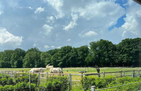 Fewo Tenne - Foto 23