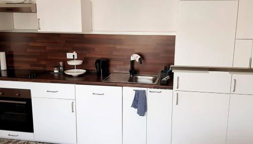 Ferienwohnung Zur Rose - Foto 4, stove, pet friendly, toaster