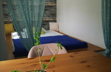 Kot Pocztowy - Foto 19