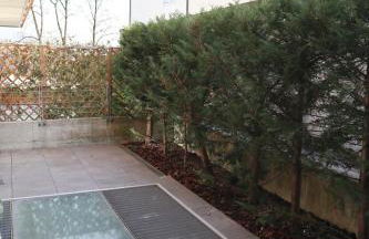 Cervo Felice Apartment - Foto 8