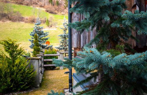 Alpine Mountain Chalet - Foto 76