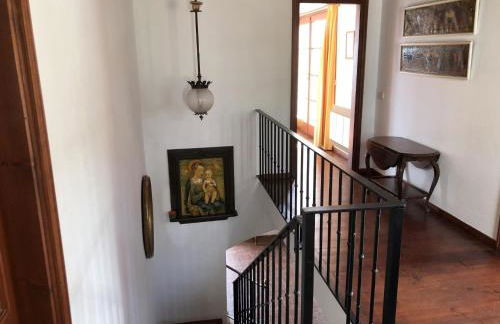 Illa blanca - Foto 23