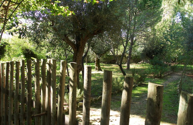 Casa dos Arrábidos - Foto 61