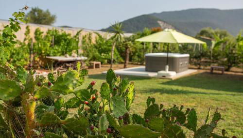 Villa LA CESA & Villino LA CASETTA Holiday Houses - Foto 4, Garden, Garden view