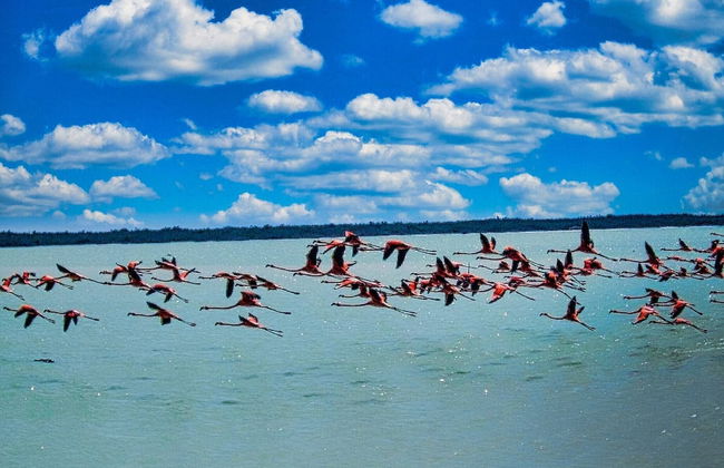 Location Location Location Best Beachfront Spot in El Cuyo With Stunning Views - Photo 37