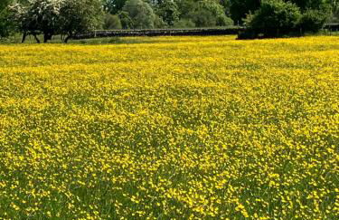 The Dale - Luxurious annexe with stunning view - Foto 29