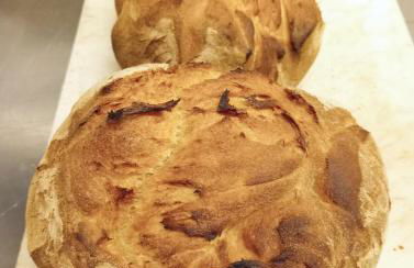 Agriturismo Ponterosa - Foto 89